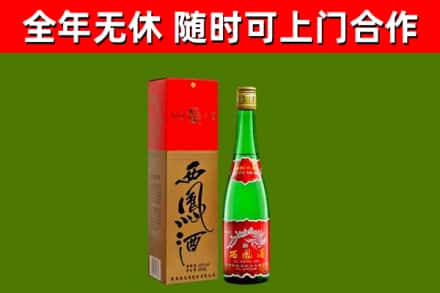 九龙坡烟酒回收西凤酒绿瓶.jpg